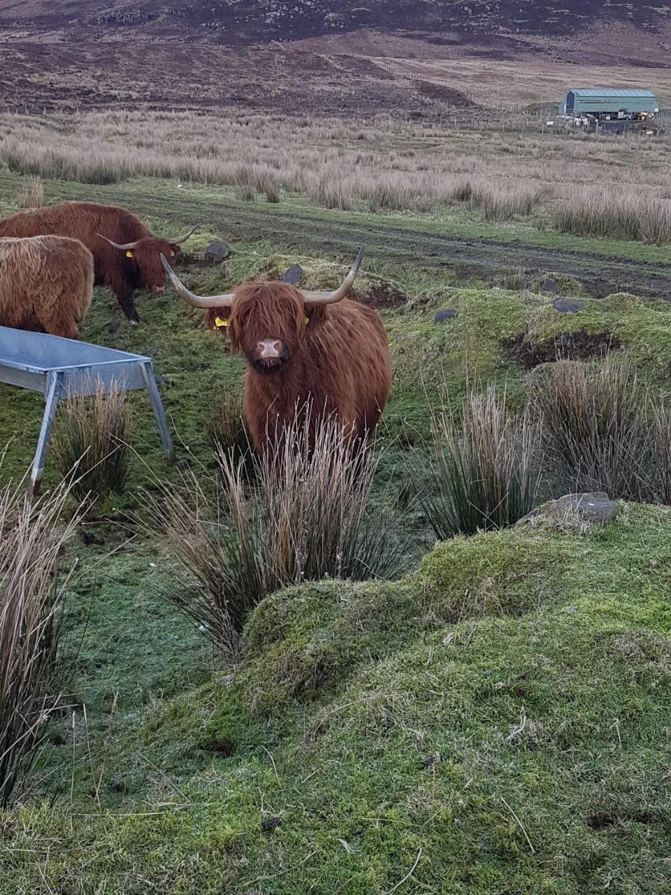 Trotternish B&B Kingsburgh Экстерьер фото